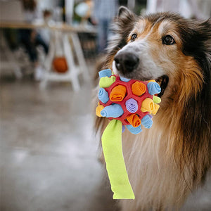 Kauspielzeug für Hunde