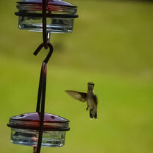 Laden Sie das Bild in den Galerie-Viewer, Einfacher Kolibri-Wasserspender aus Metall