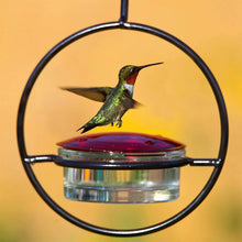 Laden Sie das Bild in den Galerie-Viewer, Einfacher Kolibri-Wasserspender aus Metall