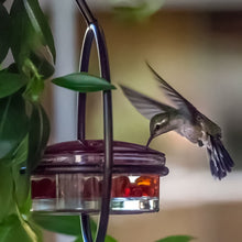 Laden Sie das Bild in den Galerie-Viewer, Einfacher Kolibri-Wasserspender aus Metall