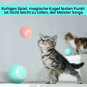 Elektrisches Katzenspielzeug