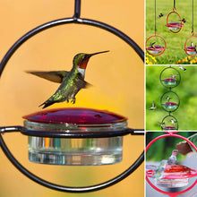 Laden Sie das Bild in den Galerie-Viewer, Einfacher Kolibri-Wasserspender aus Metall